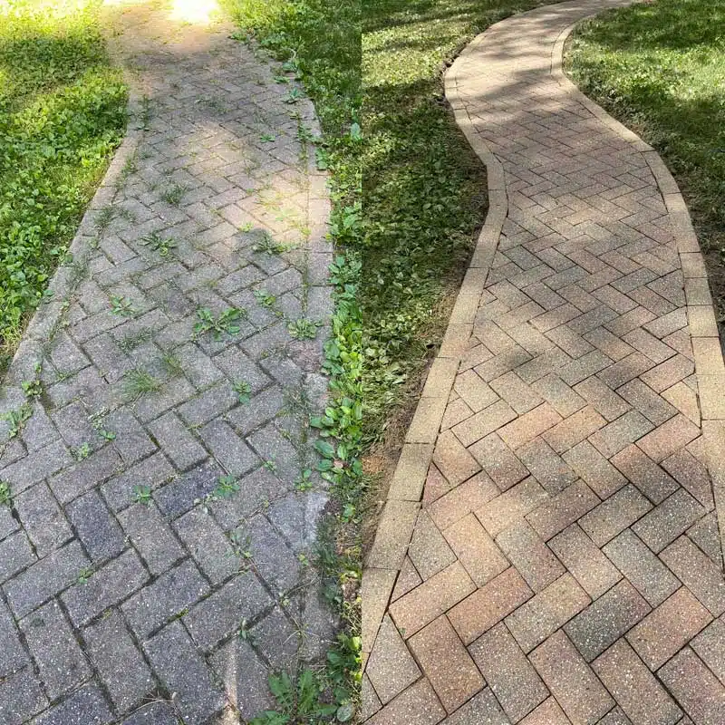 Professional Concrete Cleaning